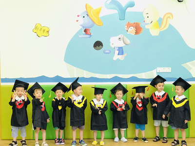 樹袋熊文化藝術咨詢 融合創意與管理智慧的企業成長之道